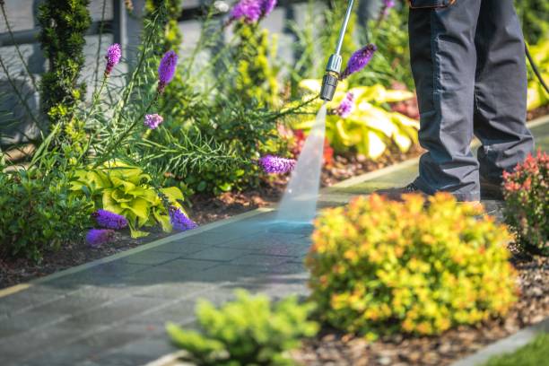 Best Pool Deck Cleaning  in Maple Bluff, WI